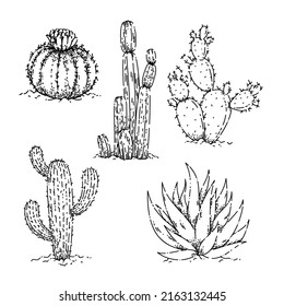 cactus postsert set boceto a mano vectorial flor del desierto, planta occidental, cactus succulento, vintage orgánico ilustración de la línea negra