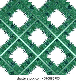Cactus diamond border seamless background. Cactus seamless pattern. White background. Vector illustration. Textile, poster, banner, cover, wrapping paper