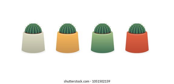Cactus in Different Colored Pots