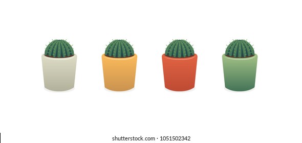 Cactus in Different Colored Pots