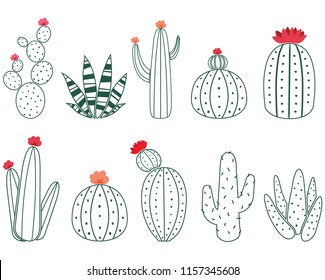 Cactus Doodle Collections Set