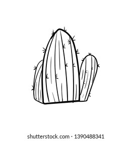 Cactus doodle icon vector drawing