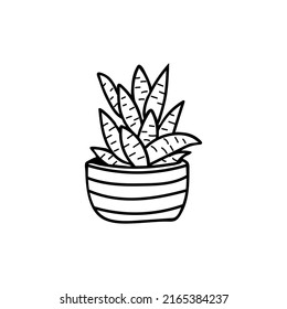 Ilustración del doodle cactus en vector. Ilustración dibujada a mano por Cactus. Ilustración del doodle de la planta de pota