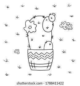Cactus doodle illustration. Vector plant in pot. Hand drawn houseplants. Isolated illustraton