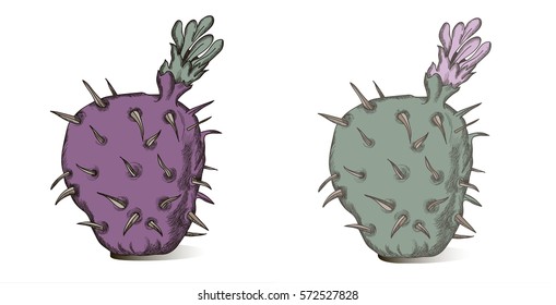 Cactus doodle line illustration