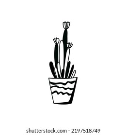 Cactus doodle outline. Element of the nature of plant. Vector hand draw icon.