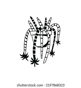 Cactus doodle outline. Element of the nature of plant. Vector hand draw icon.