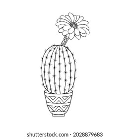 Cactus in doodle style on white background. Coloring page for children and adults.