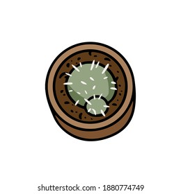 Cactus doodle top view. Cute cartoon succulent plant icon image. Hygge image isolated on white background logo. Media highlights graphic symbol