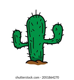 Cactus doodle, vector illustration of a cactus succulent plant, isolated on a white background.