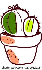 Cactus drawing, illustration, vector on white background.