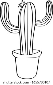 Cactus is drawn in black doodle style. Coloring book children`s flora, beautiful vector drawing.