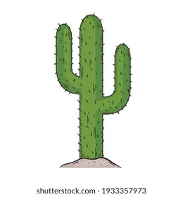 Cactus Dry Plant Exotic Icon