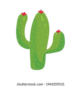 cactus dry plant isolated icon