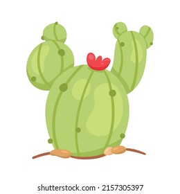 cactus dry plant nature icon