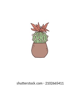 cactus echinopsis with flower. Indoor potted house plant vector outline doodle illustration.