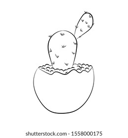 Cactus in an egg shell. Outline illustration.