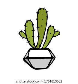 Cactus en una maceta florida