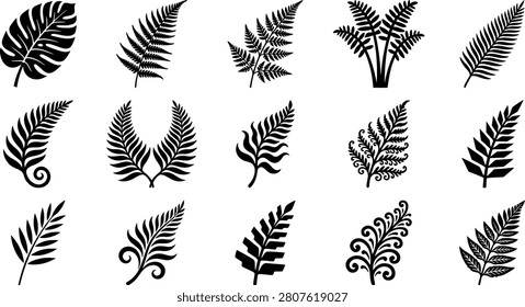 cactus featuring black and white of cactus spines and needles. Scalable various applications. Scalable format print and digital media.