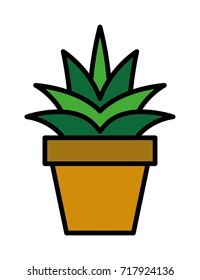 Cactus Filled Line Vector Icon