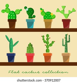 Cactus flat collection. House plants.