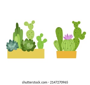 Cactus flat color illustrations. Home plant in pot. Vector cute potted succulent in simple style isolated on white background