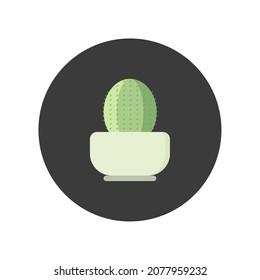 cactus flat design vector illustration, isolated on white background. Green plant, flower and nature, floral and exotic, wild botany tropical illustration