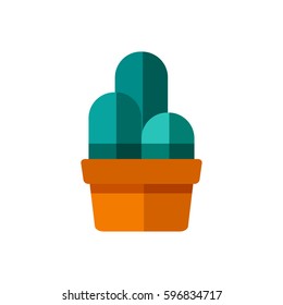 Cactus flat icon isolated on white background