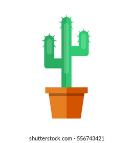 Cactus flat icon vector