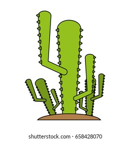 cactus flat illustration