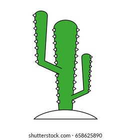 cactus flat illustration