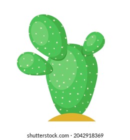 Cactus flat illustration on white background. Desert and exotic plant.