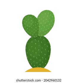 Cactus flat illustration on white background. Desert and exotic plant.