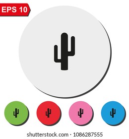 Cactus flat round colorful vector icon.