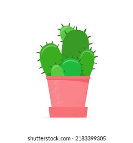 Cactus in a flat style. Home cacti in flower pot. House succulent. Vector illustration