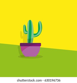 Cactus flat style. Home decoration.