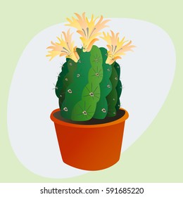 Cactus flat style nature desert flower green cartoon drawing graphic mexican succulent and tropical plant garden art cacti floral vector illustration.