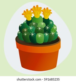 Cactus flat style nature desert flower green cartoon drawing graphic mexican succulent and tropical plant garden art cacti floral vector illustration.