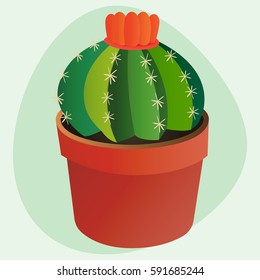 Cactus flat style nature desert flower green cartoon drawing graphic mexican succulent and tropical plant garden art cacti floral vector illustration.