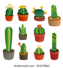 Cactus flat style nature desert flower green cartoon drawing graphic mexican succulent and tropical plant garden art cacti floral vector illustration.