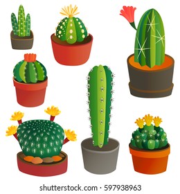 Cactus flat style nature desert flower green cartoon drawing graphic mexican succulent and tropical plant garden art cacti floral vector illustration.
