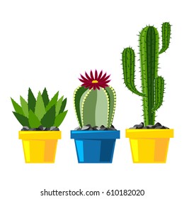 Cactus flat style nature desert flower green cartoon drawing