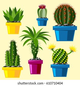 Cactus flat style nature desert flower green cartoon drawing graphic mexican succulent and tropical plant garden art cacti floral vector illustration.