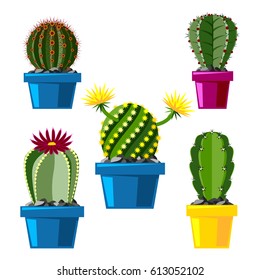 Cactus flat style nature desert flower green cartoon drawing graphic mexican succulent and tropical plant garden art cacti floral vector illustration.