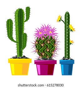 Cactus flat style nature desert flower green cartoon drawing graphic mexican succulent and tropical plant garden art cacti floral vector illustration.