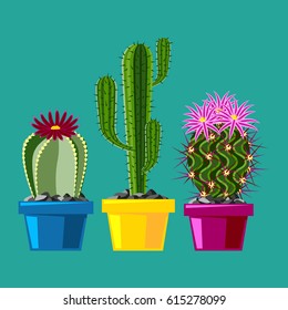 Cactus flat style nature desert flower green cartoon drawing graphic mexican succulent and tropical plant garden art cacti floral vector illustration.