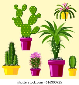 Cactus flat style nature desert flower green cartoon drawing graphic mexican succulent and tropical plant garden art cacti floral vector illustration.