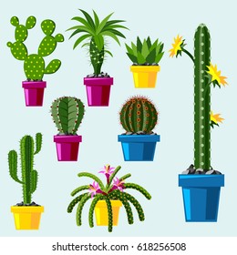 Cactus flat style nature desert flower green cartoon drawing graphic mexican succulent and tropical plant garden art cacti floral vector illustration.