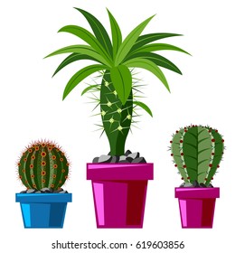 Cactus flat style nature desert flower green cartoon drawing graphic mexican succulent and tropical plant garden art cacti floral vector illustration.