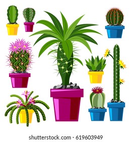 Cactus flat style nature desert flower green cartoon drawing graphic mexican succulent and tropical plant garden art cacti floral vector illustration.